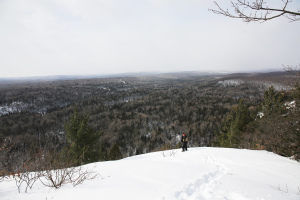 Redbridge Lookout