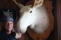 On your way to find the ‘Moon Rocks’ stop in at ‘Northern Lights’ tavern and pat the white moose…