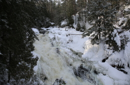 What a Rush – Eau Claire Gorge, Rutherglen (North Bay-Mattawa)