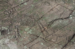 Rock Carvings – Petroglyphs